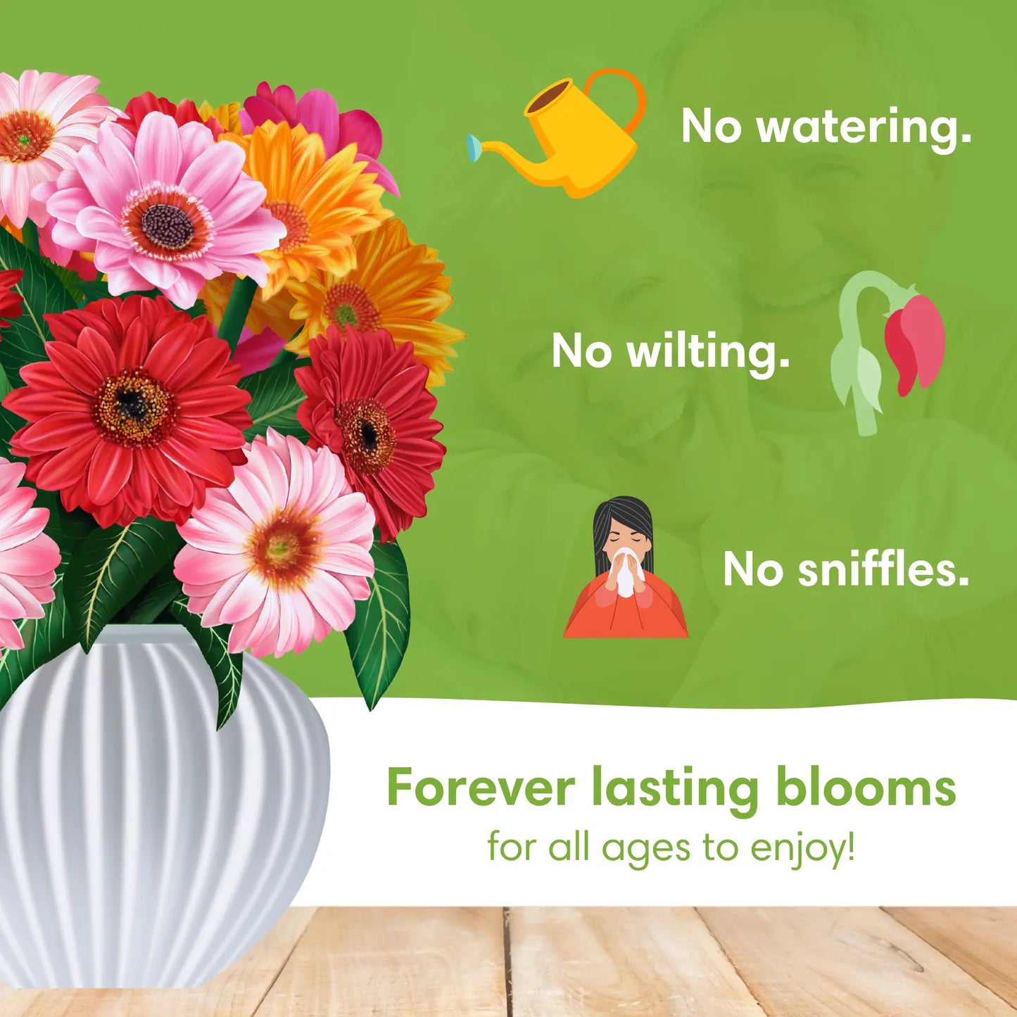 Cheerful Gerberas PetalPal