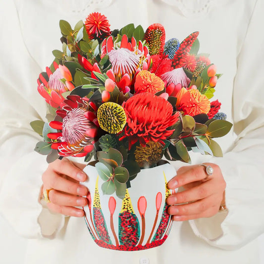 Waratah Flower Meaning and Symbolism