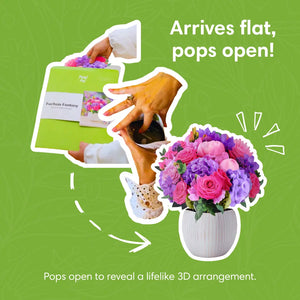 Fuchsia-Fantasy-PetalPal