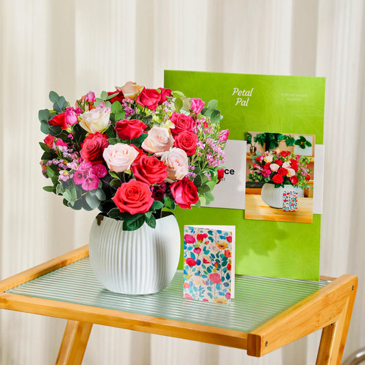 Rosy Radiance paper pop-up bouquet of red and pink roses — PetalPal